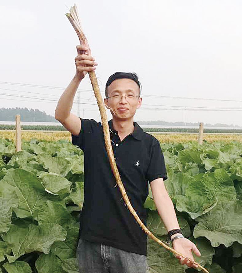 山东出版集团有限公司内容图片展示